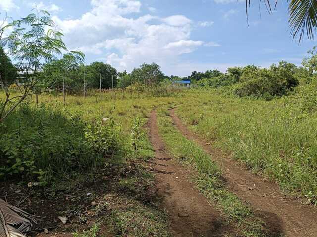 Lourdes, Panglao, Lot For Sale Lourdes, Panglao, Lot For Sale