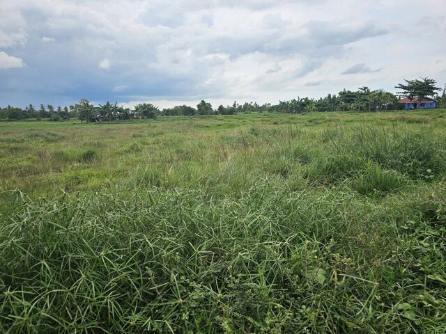 Camambugan, Ubay, Lot For Sale