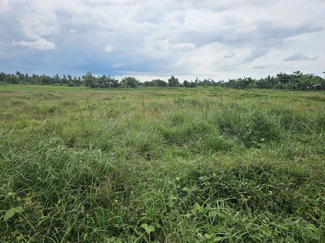 Camambugan, Ubay, Lot For Sale