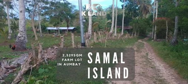 Aumbay, Island Of Garden Samal, Samal, Lot For Sale