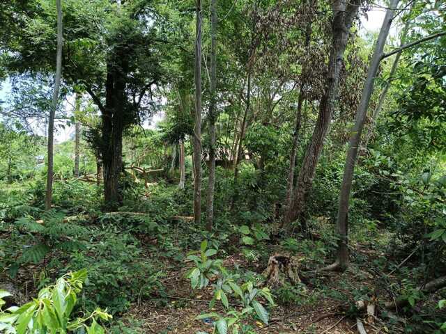 Tabalong, Dauis, Lot For Sale Tabalong, Dauis, Lot For Sale