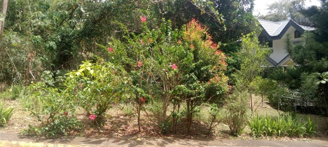 San Gregorio, Laurel, Lot For Sale