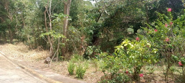 San Gregorio, Laurel, Lot For Sale