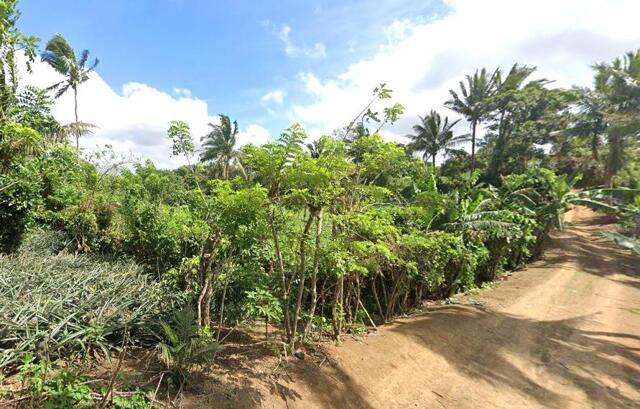 Patutong Malaki South, Tagaytay, Lot For Sale