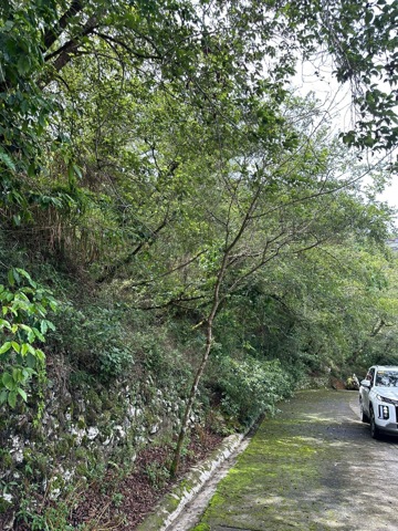 Pinsao Proper, Baguio, Lot For Sale