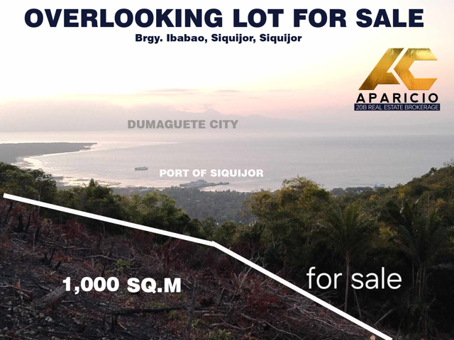 Ibabao, Siquijor, Lot For Sale