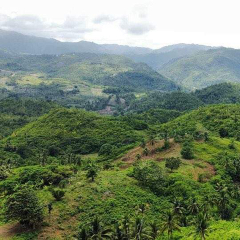 Gaas, Balamban, Lot For Sale