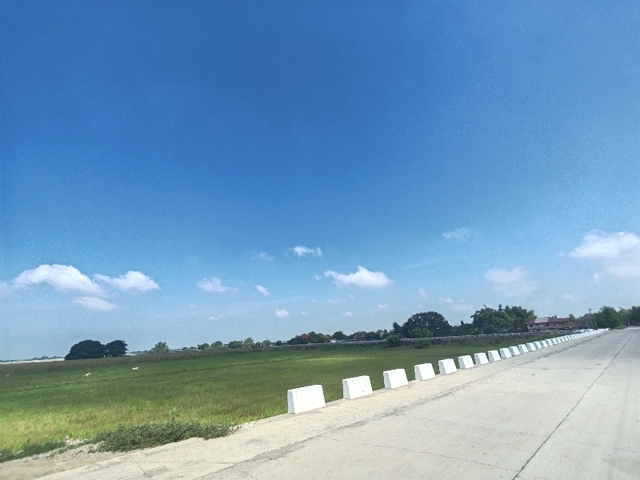 Pantol, Bayambang, Lot For Sale