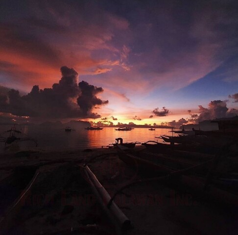 Poblacion, San Vicente, Lot For Sale