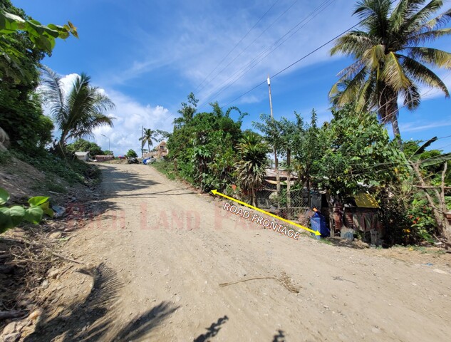 Poblacion, San Vicente, Lot For Sale