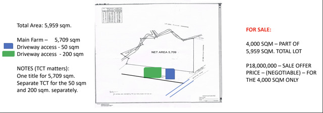 Quisao, Pililla, Lot For Sale