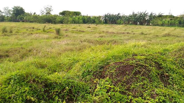 Toclong, Kawit, Lot For Sale