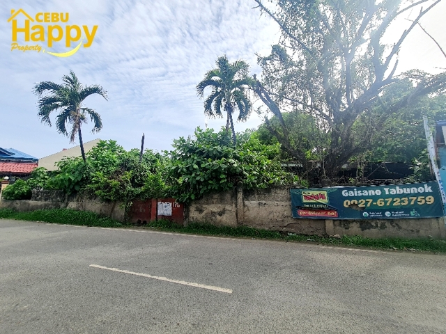 Cansojong, Talisay, Lot For Sale