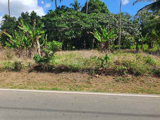 Marahan Ii, Alfonso, Lot For Sale