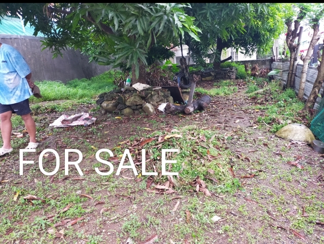 Biclatan, General Trias, Lot For Sale Biclatan, General Trias, Lot For Sale