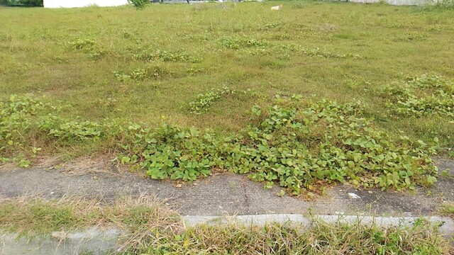 Salitran Iv, Dasmarinas, Lot For Sale