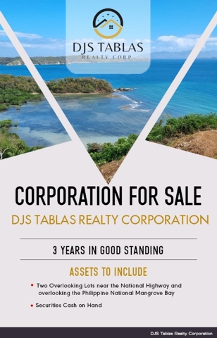 Tabinay, Puerto Galera, Lot For Sale Tabinay, Puerto Galera, Lot For Sale