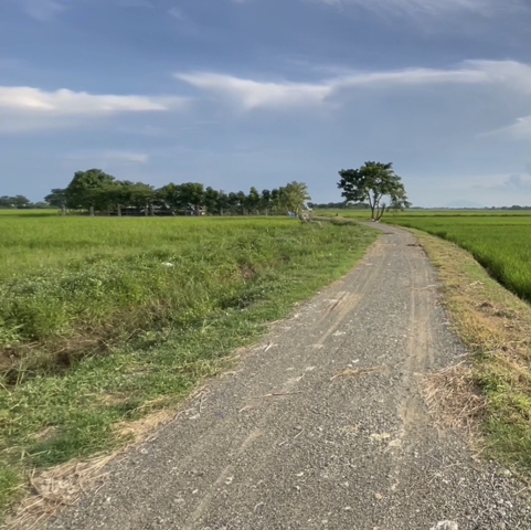 Betes, Aliaga, Lot For Sale