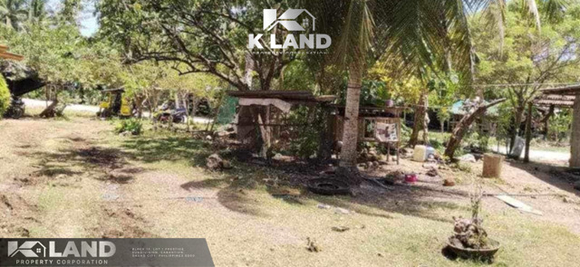 San Miguel, Island Of Garden Samal, Samal, Lot For Sale