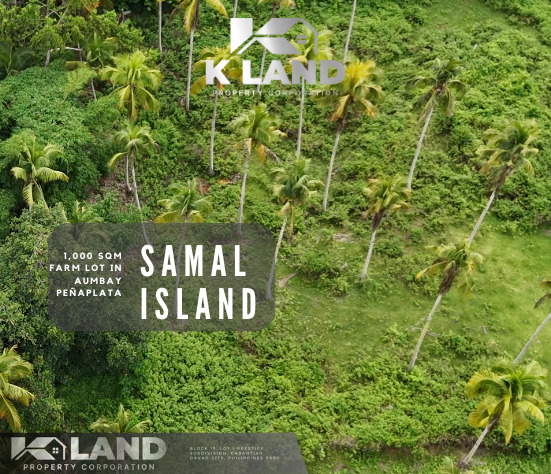 Aumbay, Island Of Garden Samal, Samal, Lot For Sale