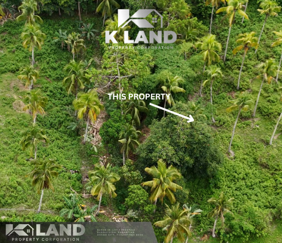 Aumbay, Island Of Garden Samal, Samal, Lot For Sale