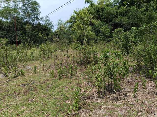 Lourdes, Panglao, Lot For Sale Lourdes, Panglao, Lot For Sale