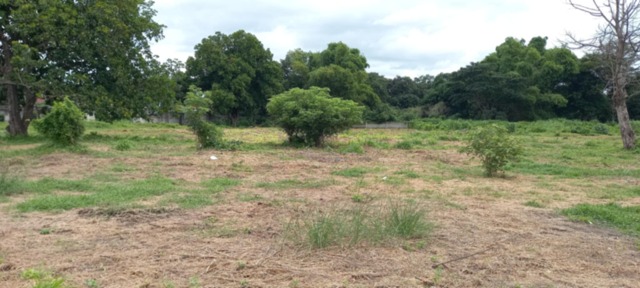 Anupul, Bamban, Lot For Sale