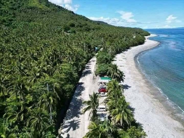 Dianed, Dipaculao, Lot For Sale