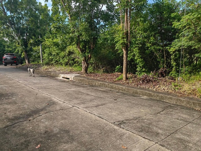 Casili, Consolacion, Lot For Sale