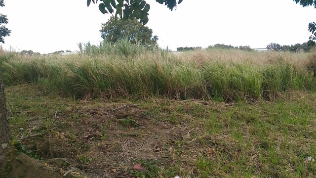 Maduya, Carmona, Lot For Rent