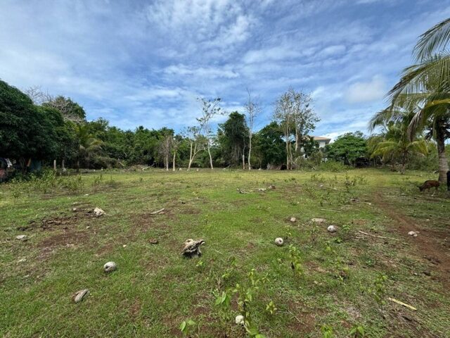 San Isidro, Dauis, Lot For Sale