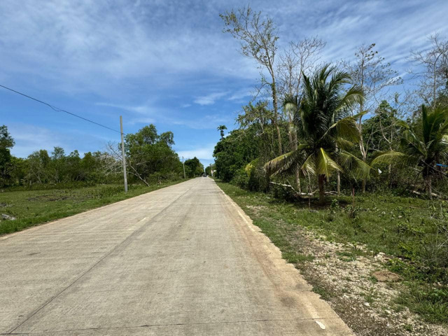 San Isidro, Dauis, Lot For Sale