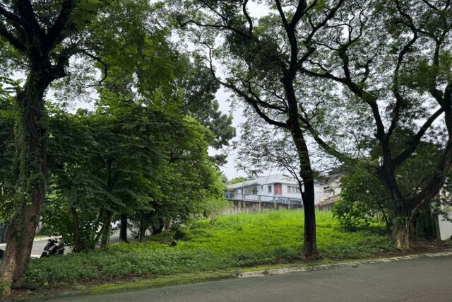 Marikina Heights, Marikina, Lot For Sale