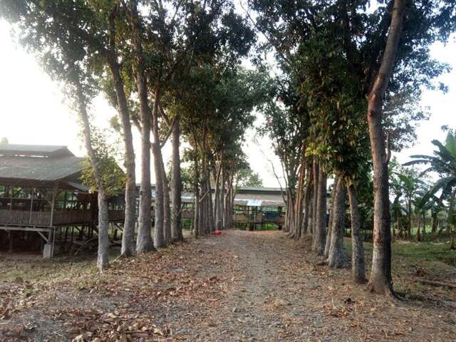 Talacsan, San Rafael, Lot For Sale Talacsan, San Rafael, Lot For Sale