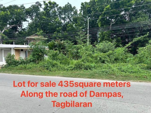 Dampas, Tagbilaran, Lot For Sale