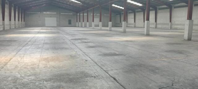 Halang, Calamba, House For Rent