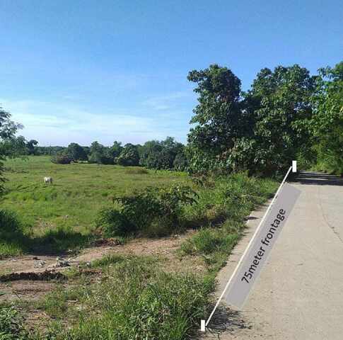 Santo Nino Tabuan, Arayat, Lot For Sale