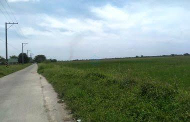 Banaba, Tarlac, Lot For Sale Banaba, Tarlac, Lot For Sale