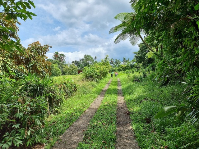 Samil, Lucban, Lot For Sale