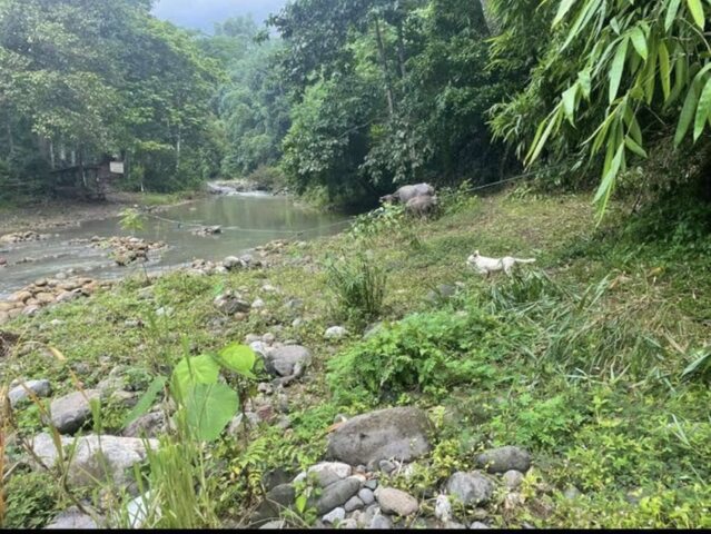 Sampaloc, Tanay, Lot For Sale