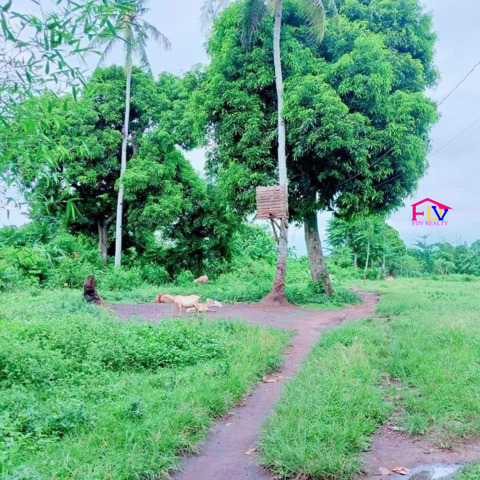 Del Rosario, Naga, Lot For Sale