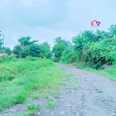 Del Rosario, Naga, Lot For Sale
