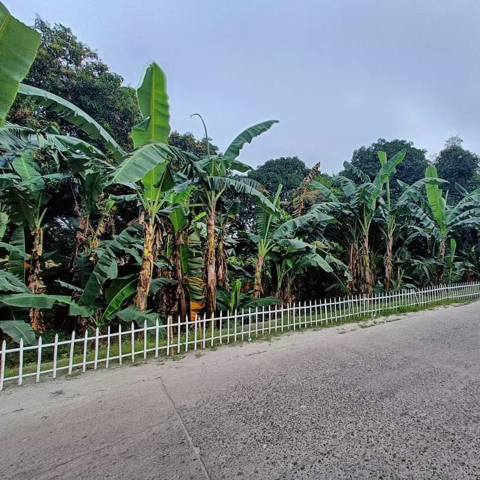Porac, Lot For Sale
