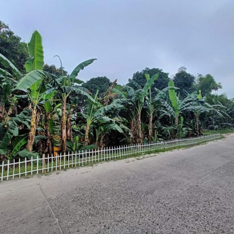 Porac, Lot For Sale