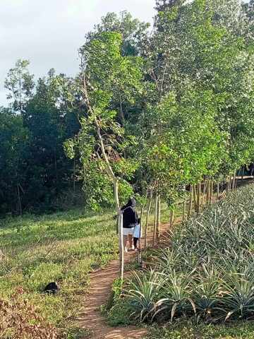 Halayhayin, Pililla, Lot For Sale