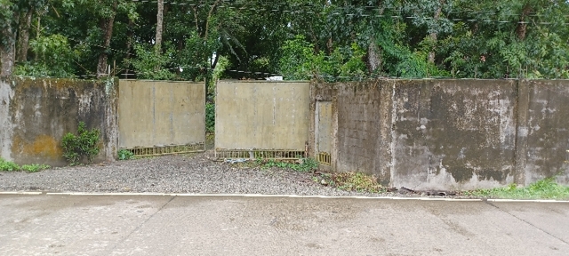 Tiwi, Barotac Nuevo, Lot For Sale