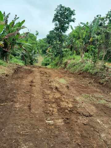 Halang, Naic, Lot For Sale