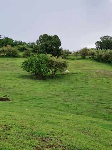 Tanagan, Calatagan, Lot For Sale