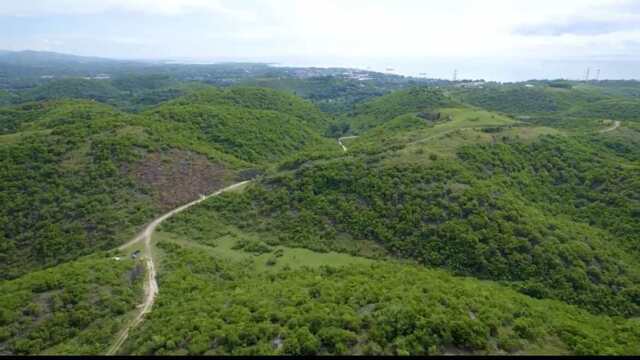 Poblacion, Danao, Lot For Sale