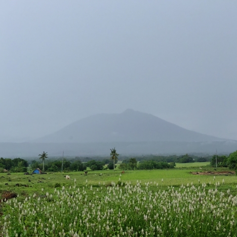 Hanawan, Ocampo, Lot For Sale